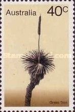 Grass Tree (Xanthorrhoea australis)