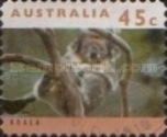 Koala (Phascolarctos cinereus)