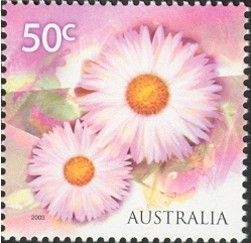 Daisies