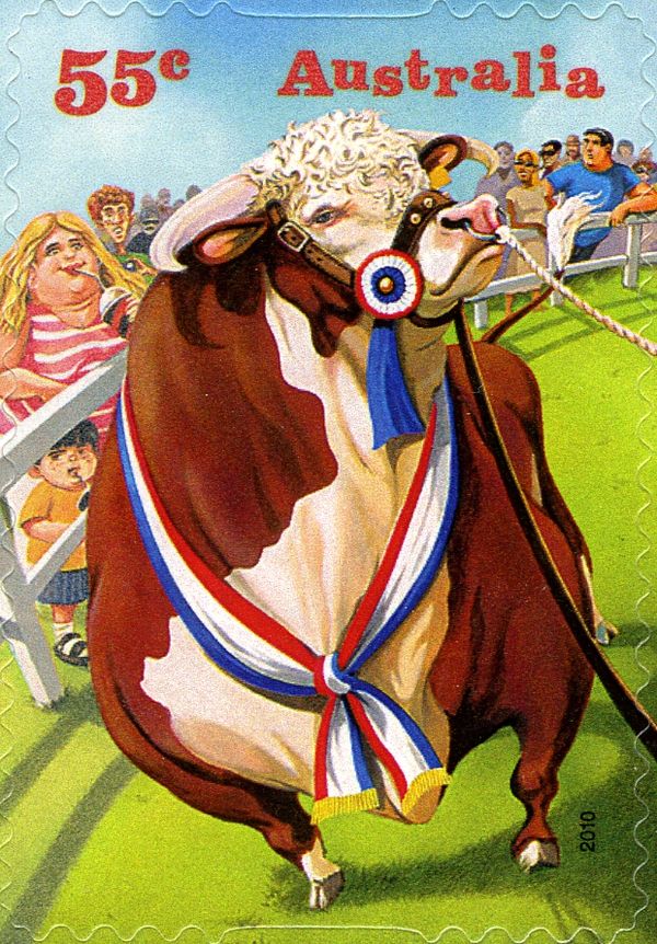 Prize Bull