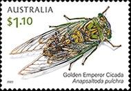 Golden Emperor Cicada (Anapsaltoda pulchra)
