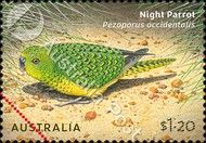 Night Parrot (Pezoporus occidentalis)