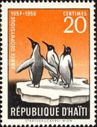 King Penguin (Aptenodytes patagonicus)