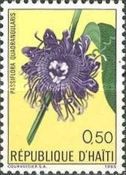 Passiflora quadrangularis