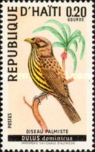 Palmchat (Dulus dominicus)