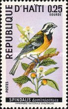 Hispaniolan Spindalis (Spindalis dominicensis)