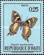 Swallowtail (Papilio machaonides)