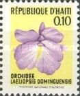 Laeliopsis dominguensis