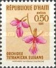 Tetramicra elegans