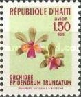 Epidendrum truncatum