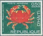 Crab (Platypodia spectabilis)