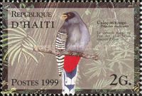 Hispaniolan Trogon (Priotelus roseigaster)