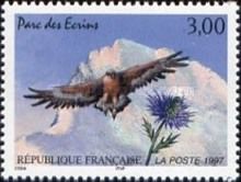 Écrins National Park: Golden Eagle (Aquila chrysaetos)