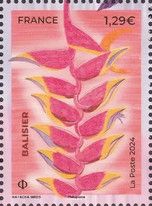 Balisier (Heliconia bihai)