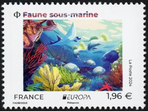 Underwater Fauna
