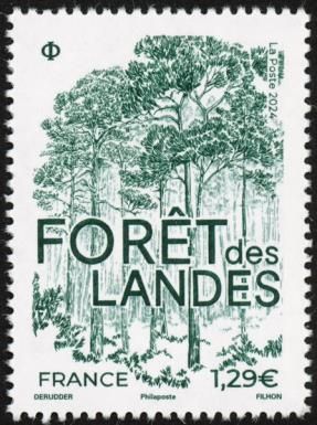 The Landes forest