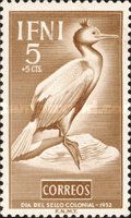 Common Shag (Gulosus aristotelis)