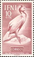 European Shag (Gulosus aristotelis)