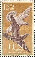 Stock Dove (Columba oenas)
