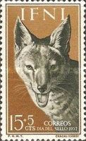 Golden Jackal (Canis aureus)