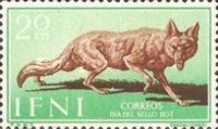 Golden Jackal (Canis aureus)