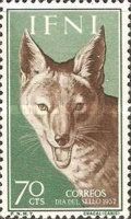 Golden Jackal (Canis aureus)