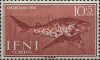 Nursehound (Scyliorhinus stellaris)