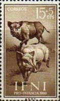 Wild Boar (Sus scrofa)