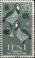 Red-legged Partridge (Alectoris rufa)