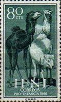 Dromedary (Camelus dromedarius)