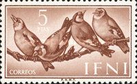 European Goldfinch (Carduelis carduelis)