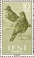Eurasian Skylark (Alauda arvensis)
