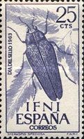 Beetle (Steraspis sp.)