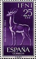 Mountain Gazelle (Gazella gazella)
