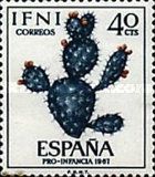 Opuntia sp.