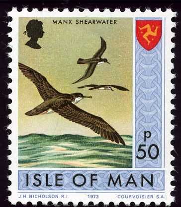 Manx Shearwater (Puffinus puffinus)