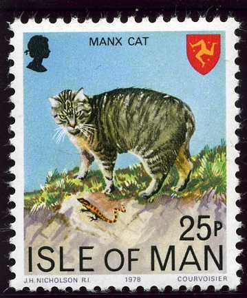 Manx Cat (Felis silvestris catus)