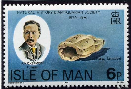 Philip M.C. Kermode, Fossil Whelk (Nassa kermodei)