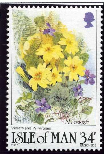 Violets (Viola riviniana). Primroses (Primula vulgaris)