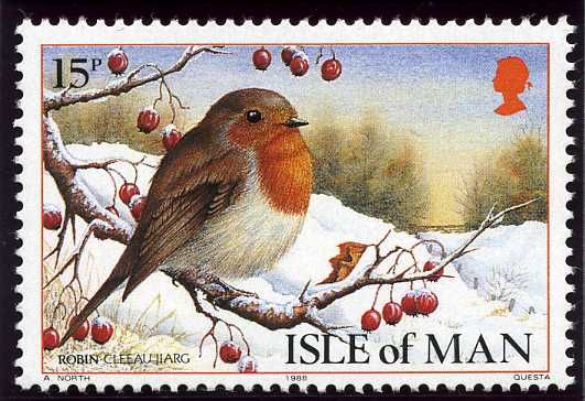 European Robin (Erithacus rubecula)