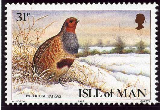 Gray Partridge (Perdix perdix)