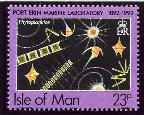 Phytoplankton