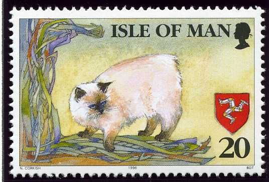 White Manx Cat and Celtic Interlaced Ribbons