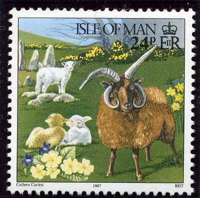 Manx Loaghtyn Ram (Ovis orientalis aries) with Lambs