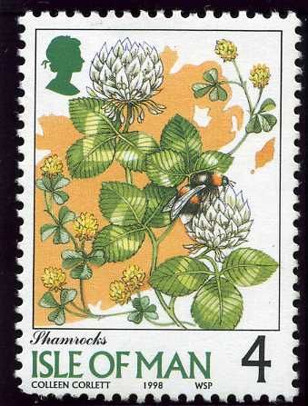 Shamrocks