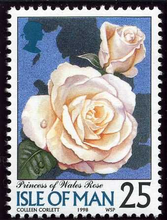 Princess of Wales Rose