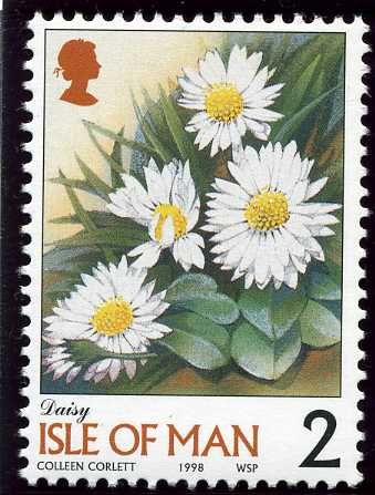 Daisy