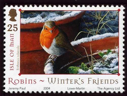 European Robin (Erithacus rubecula) on Flower Pot