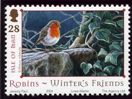 European Robin (Erithacus rubecula), Foot Of Tree