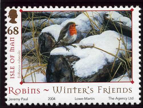 European Robin (Erithacus rubecula) on snowy Logs